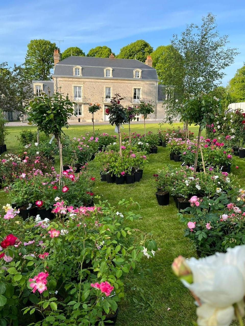 Le Manoir Du Ribardon Bed and Breakfast Neuvy-au-Houlme Εξωτερικό φωτογραφία